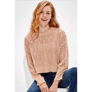 NWT American Eagle Cropped Pointelle Crew Neck Sweater